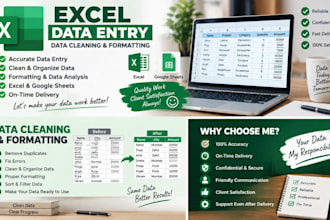 do excel data enrty, data cleaning and fomatting