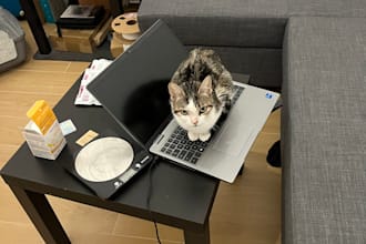 hunt bugs in your ai generated website or web app