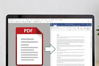 convert PDF to word, and do copy typing