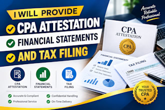 provide CPA attestation, financial statements and tax filing