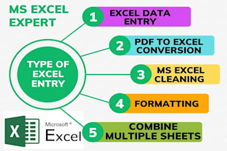 do professional excel data cleaning sorting and automation