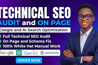 do technical SEO audit and on page optimization for google and ai search rank
