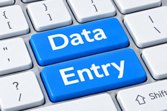do data entry project