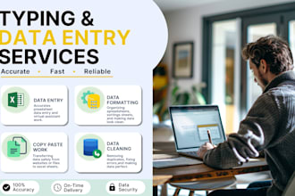 do professional data entry and excel data formatting