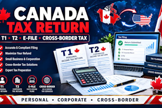 efile canada tax return, prepare cross border tax return, t1, t2, canada CPA