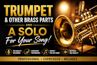record trumpet brass parts and a professional solo for your song