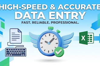 do high speed and accurate data entry services