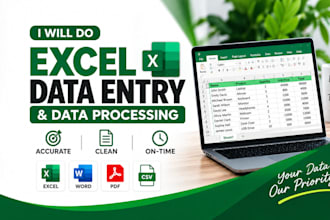 do excel data entry and data processing