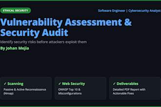 do a vulnerability scan and security audit on your website