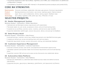 provide expert business analysis and requirements documentation