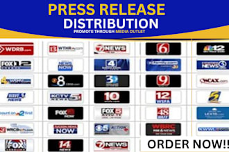 write SEO press release with PR writing press distribution and PR campaign