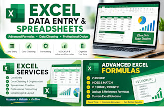 create, organise and design excel spreadsheets with advanced formulas