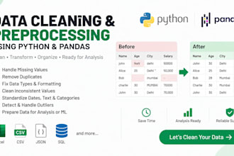clean and preprocess your data using python