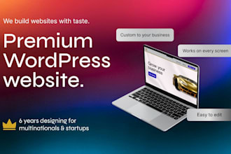 design a premium wordpress website for your tech business