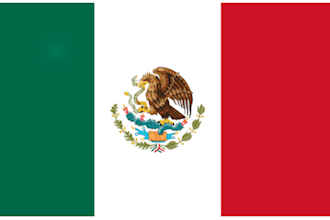send you mexico leads business consumer leads