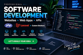 develop a professional website or custom web application