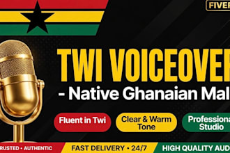 record a pro twi or english voiceover for your video