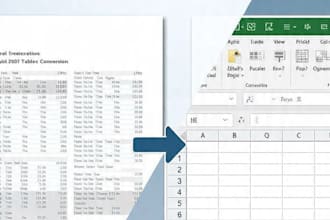 professional data entry excel pdf to excel and typing