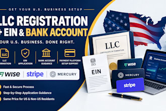 register your US llc, ein and assist with wise, stripe setup