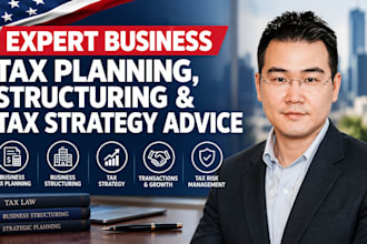 provide expert buisness tax planning structuring and tax strategy advice