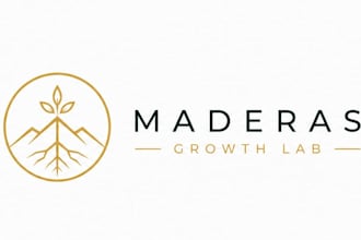 build a custom excel financial models and reports to track business performance