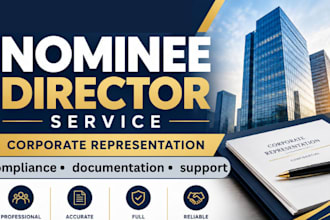 provide professional nominee director and corporate representation service