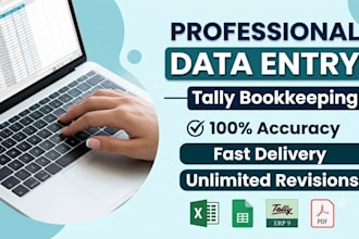 do excel data entry and tally bookkeeping services