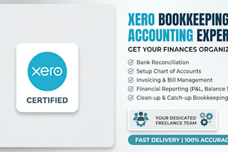 do expert xero bookkeeping and bank reconciliation