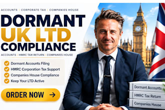file your dormant uk ltd account, hmrc tax return and companies house compliance