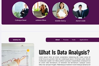 do professional excel data entry, copy paste, and tally bookkeeping
