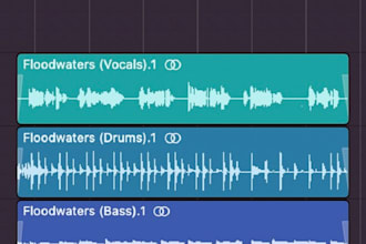 remove vocals or instruments from any song you choose