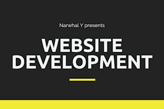 be your shopify store development