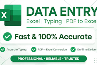 do excel data entry