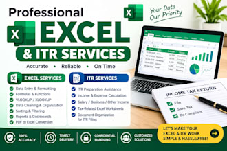 do professional excel work and income tax return itr filing services