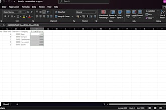 do professional excel data cleaning integration and financial reporting