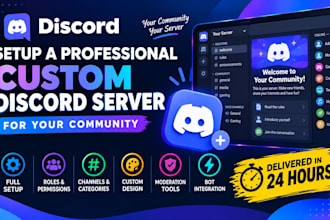 setup a professional custom discord server