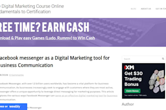 develop niche based earnable web 2 blog with CPM ads