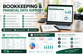 do bookkeeping, data entry and financial records in excel