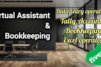 be your virtual assistant for data entry and excel