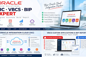 do build the oic, vbcs applications, bip reports