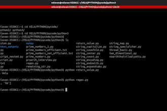 work on python projects backend development django
