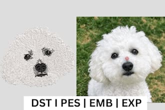 do professional embroidery digitizing in wilcom format