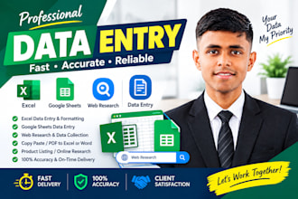 do professional data entry,  web research