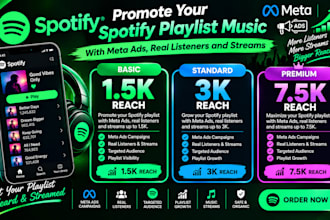 promote your sportify playlist music with facebook meta ads real listener stream