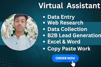 do data entry b2b lead generation data scraping and b2b
