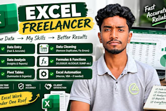 do data entry, data cleaning, data analysist, excel problem