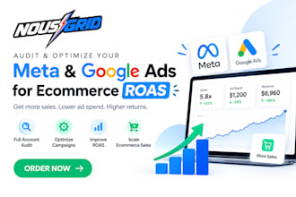 optimize and fix instagram facebook ads campaign and google ads for higher roas