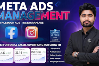 run meta ad, instagram, telegram campaigns for your forex business