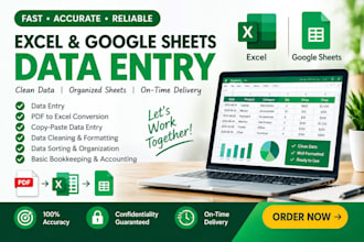 do accurate data entry in excel and google sheets