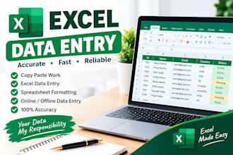 do clean, format, merge, excel etc
